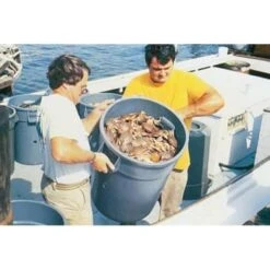 Rubbermaid Commercial Brute 10 Gal Gray Round Open Top Trash Can 5 Rubbermaid Commercial Brute 10 Gal Gray Round Open Top Trash Can -Rubbermaid 318626 DetailedProductView1 Lg